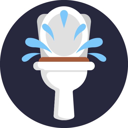Toilet Installation & Repair